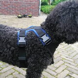 Foto van sylvia