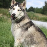 Foto van Lavina