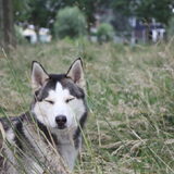 Foto van Lavina