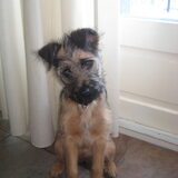 hier is Boef 4 maand
