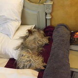 Veilig slapen naast vrouwke op hotel ...........