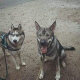 Foto van Tiffani & Pepper