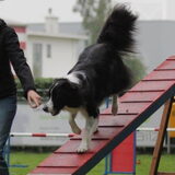 Foto van Mickey