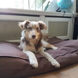 Even poseren