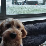 Foto van Ludo en ik