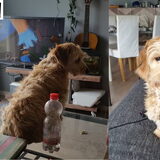 Foto van Ludo en ik
