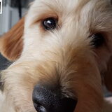 Foto van Ludo en ik