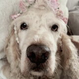 Foto van esther