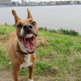 Foto van yooop