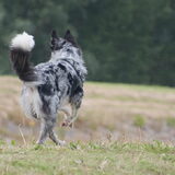 Foto van Angelique; Bruno, Charlie & Fenna
