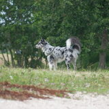 Foto van Angelique; Bruno, Charlie & Fenna