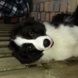 Foto van carla en Buddy