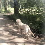 Foto van esther