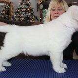 Dit is Dante of the morning valley onze nieuwe aanwinst Op deze foto 7…