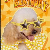 Happy Birthday!