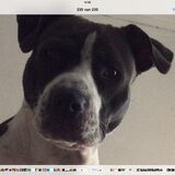 Selfie !
