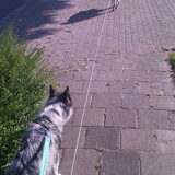 Foto van Angelique; Bruno, Charlie & Fenna