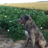 Foto van Jeanine :)