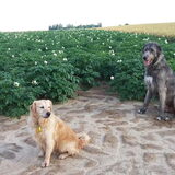 Foto van Jeanine :)