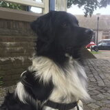 Foto van Doortje & Tibbe