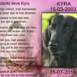 Foto van Danielle, Kyra*Kaylin*, Djaira en Djaidey