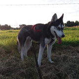 Foto van Jeanine :)