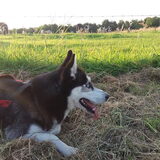 Foto van Jeanine :)