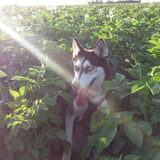 Foto van Jeanine :)