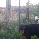 Foto van Ina, Misty en Aysa