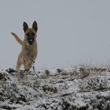 Foto van Linda
