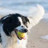 Foto van Angelique; Bruno, Charlie & Fenna