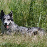 Foto van Angelique; Bruno, Charlie & Fenna