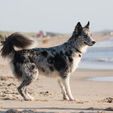 Foto van Angelique; Bruno, Charlie & Fenna