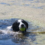 Foto van Angelique; Bruno, Charlie & Fenna