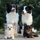 Foto van Shauni  *Sky~Jinx~Sansa~Hypno*