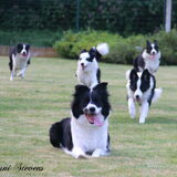 Foto van Shauni  *Sky~Jinx~Sansa~Hypno*