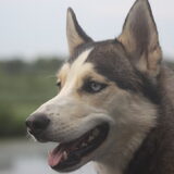 Foto van Lavina