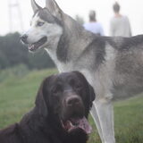 Foto van Lavina