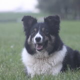 Foto van Lavina