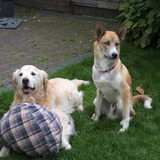 Wat een schatten!!!!