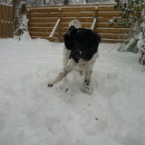 Heerlijk spelen met de bal in de sneeuw