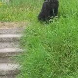 Foto van sylvia