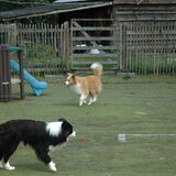 Foto van Lise met Ruby, Naïn & Qalvin