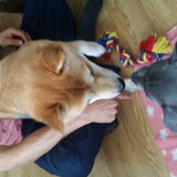 Foto van Claudia