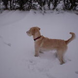 brrrr wat koud is dat witte spul