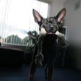 Gaan we met de flos spelen?? :D