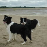 Foto van Lise met Ruby, Naïn & Qalvin