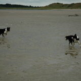 Foto van Lise met Ruby, Naïn & Qalvin