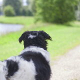 Foto van Angelique; Bruno, Charlie & Fenna