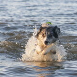 Foto van Angelique; Bruno, Charlie & Fenna